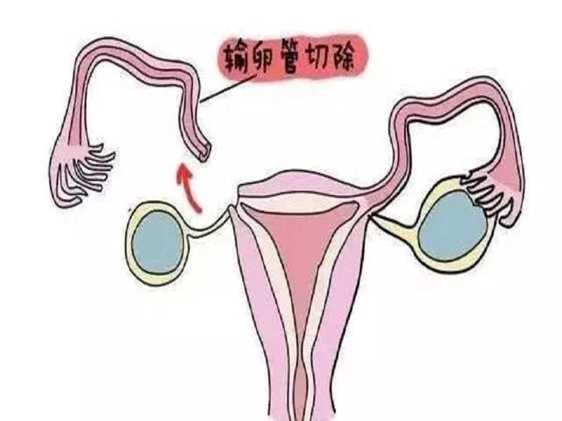 2024上海一妇婴做供卵试管攻略，附成功率及排队时间参考