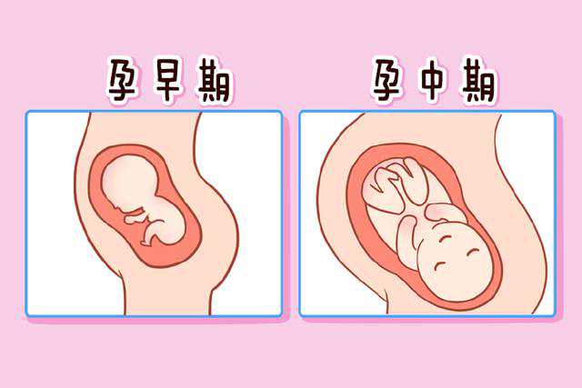 贴心服务，选上海试管供卵机构有哪些医院好一点的