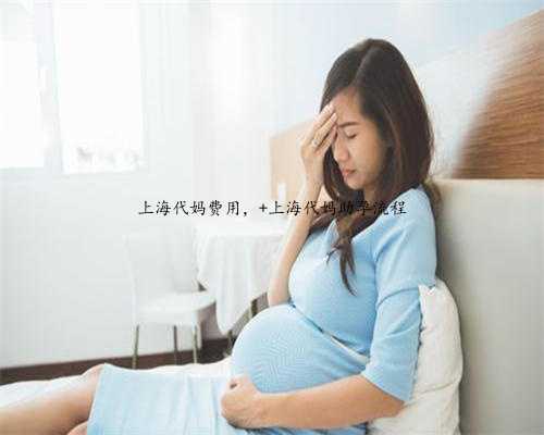 上海代妈费用， 上海代妈助孕流程
