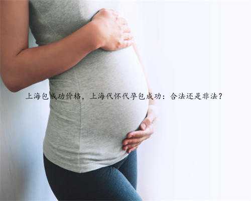上海包成功价格，上海代怀代孕包成功：合法还是非法？