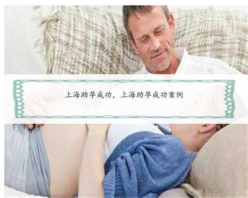 上海助孕成功，上海助孕成功案例