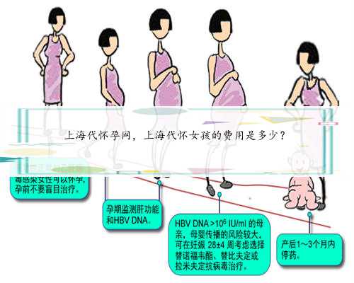 上海代怀孕网，上海代怀女孩的费用是多少？