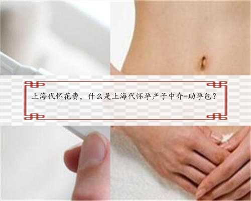上海代怀花费，什么是上海代怀孕产子中介-助孕包？