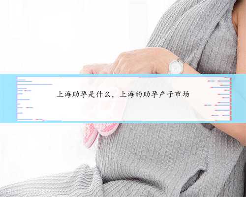 上海助孕是什么，上海的助孕产子市场