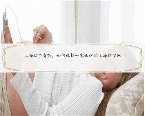 上海助孕贵吗，如何选择一家正规的上海助孕网
