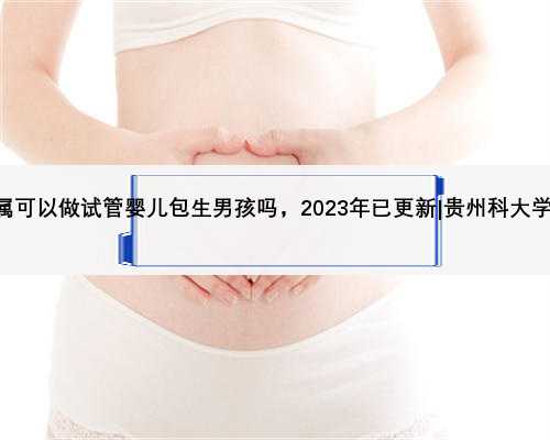 贵州科大学附属可以做试管婴儿包生男孩吗，2023年已更新|贵州科大学附属招聘