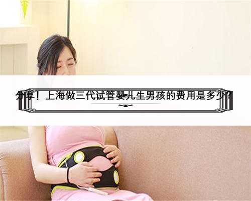 分享！上海做三代试管婴儿生男孩的费用是多少？