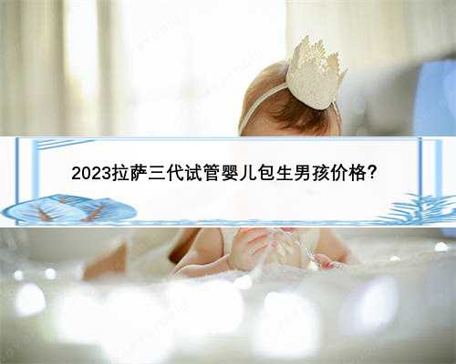 2023拉萨三代试管婴儿包生男孩价格？